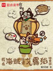 我在海贼开网吧免费阅读