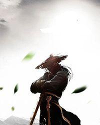 瓶邪陌上花开君归矣