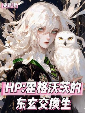 霍格沃兹的转学生