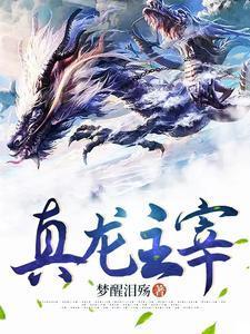 真龙主宰 武器在哪里爆