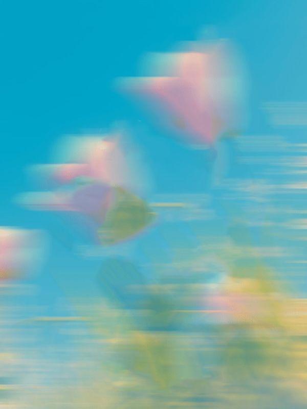 高考后举报作弊行吗